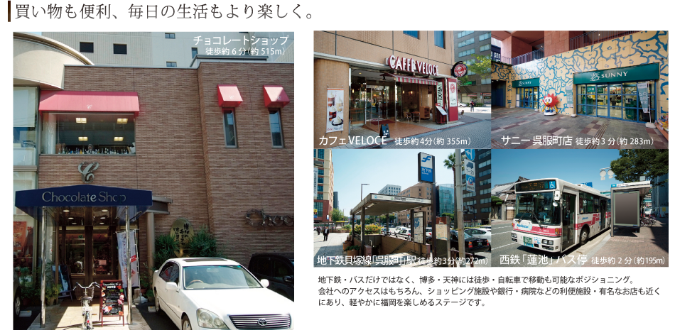 ֗A̐yB`R[gVbvAJtFVELOCEATj[XAnSLːwAS@roX